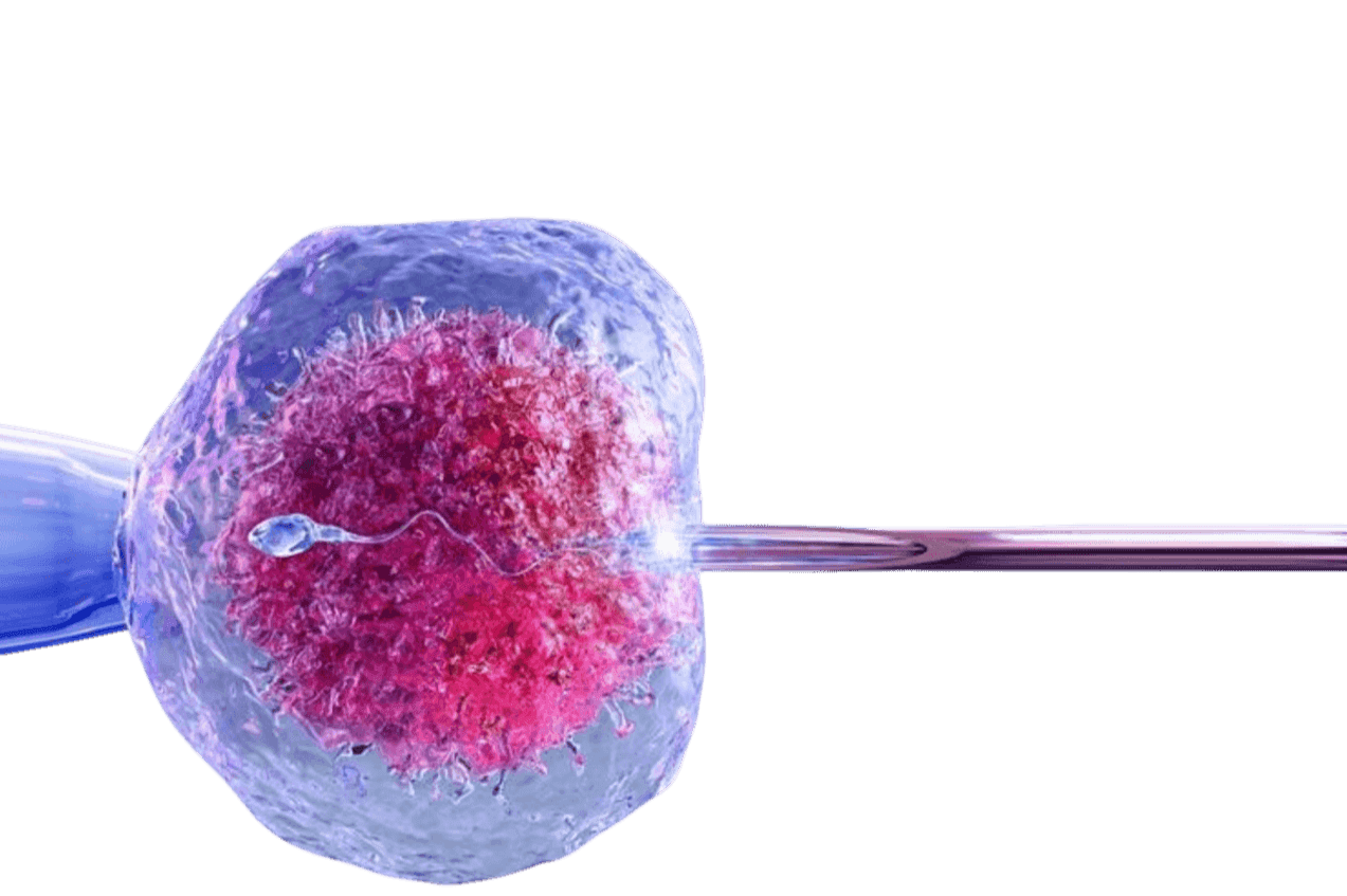 Egg Freezing: Preserving Fertility for Your Future