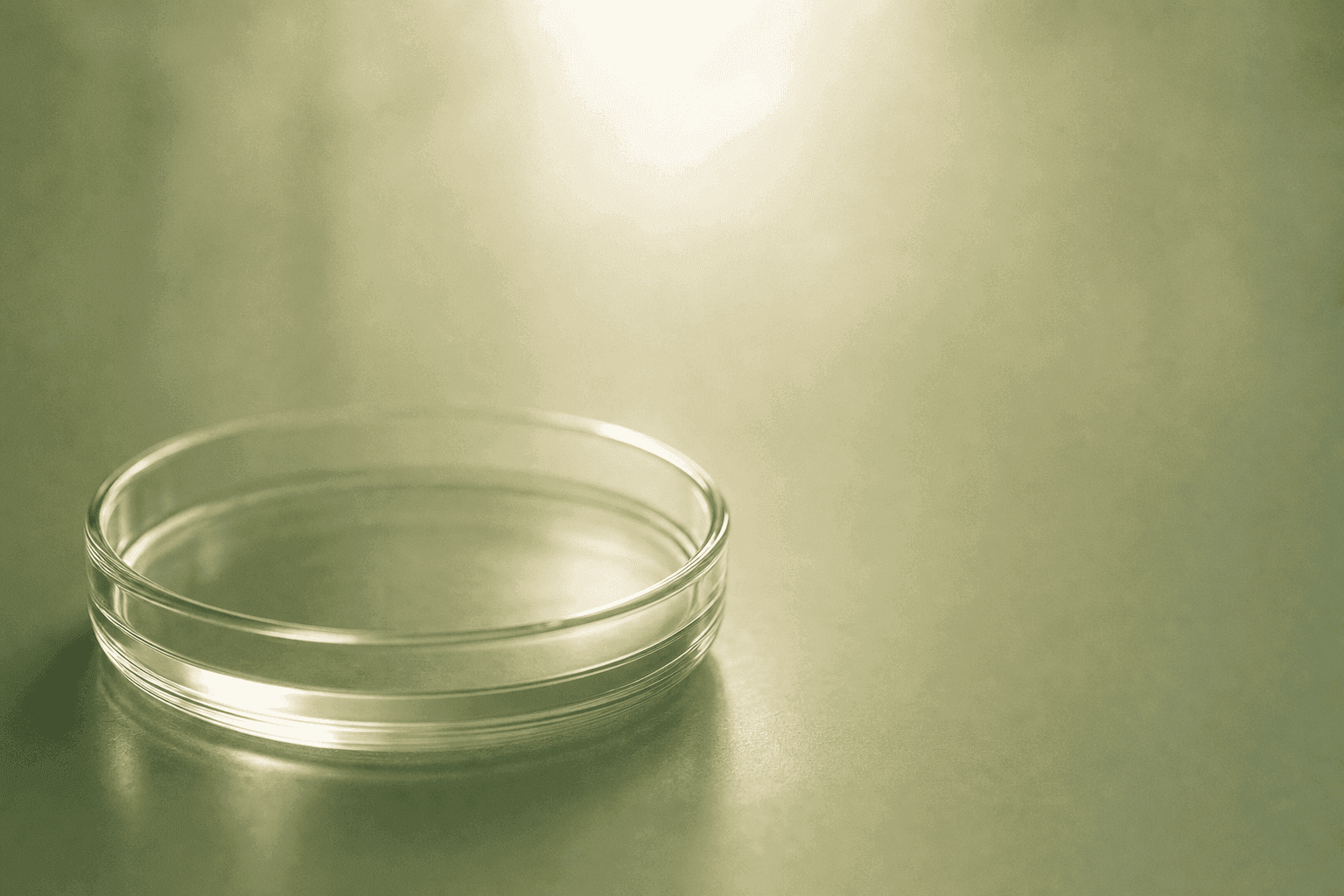 Egg Freezing: Preserving Fertility for Your Future