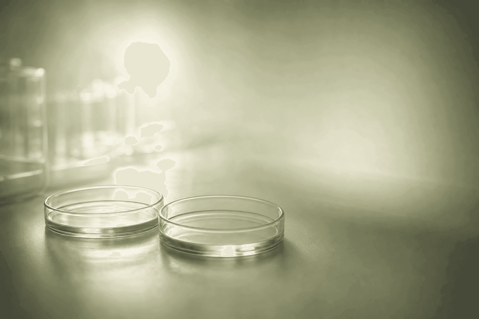After a Failed IVF Cycle: What Is Worth Investigating