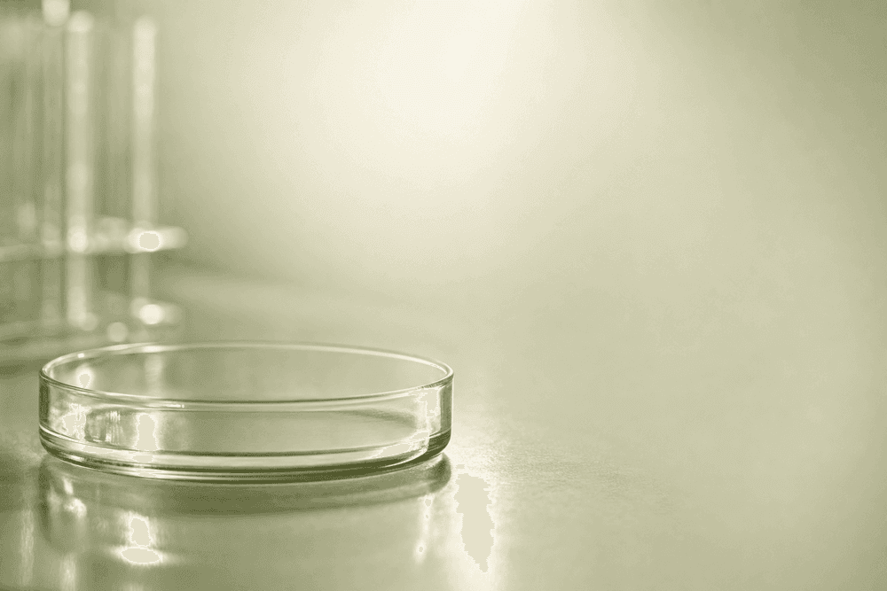 What Is Assisted Hatching — And Does the Evidence Support It? (2026)