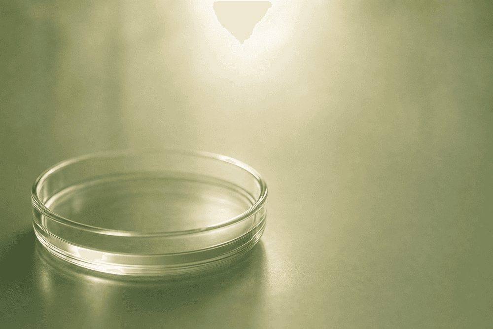 Egg Freezing: Preserving Fertility for Your Future