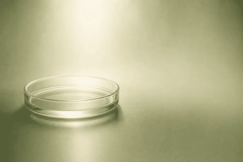 Fertility Myths vs. Facts: Separating Truth from Fiction