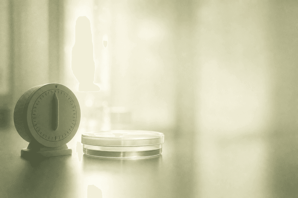 IVF Success Rates: What You Should Know