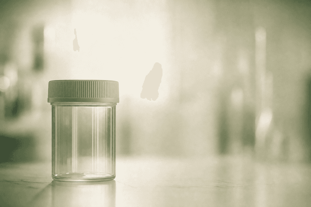 Role of L-Carnitine in Sperm Health