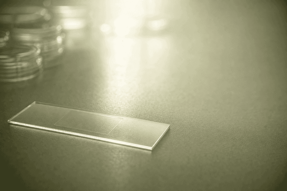 Role of Zinc in Sperm Health