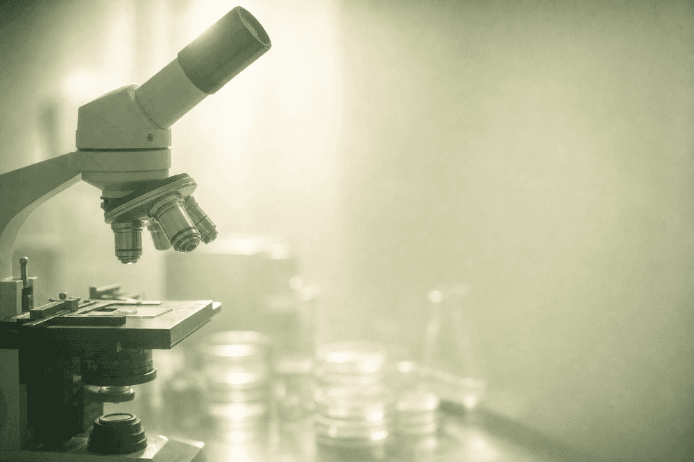 The Role of Testosterone in Male Fertility