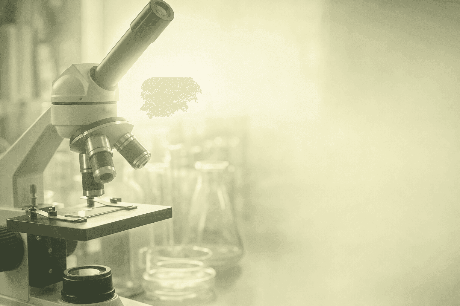 Medications That Affect Male Fertility