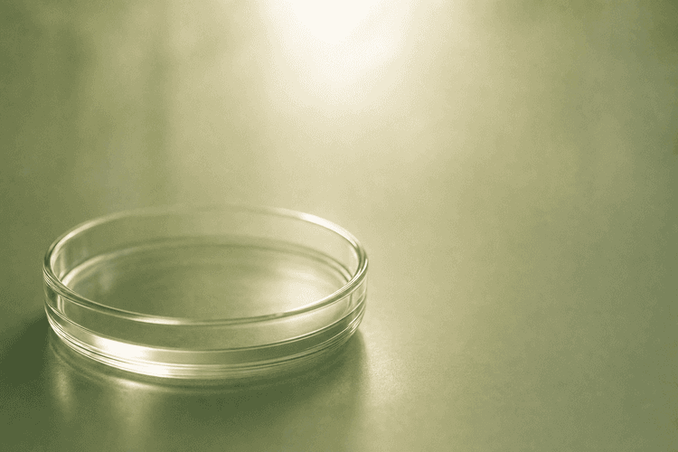 Egg Freezing: Preserving Fertility for Your Future