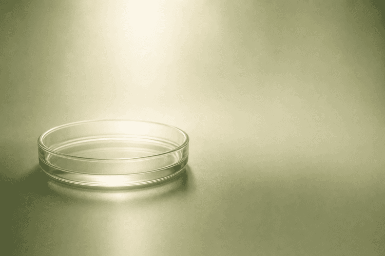 Fertility Myths vs. Facts: Separating Truth from Fiction
