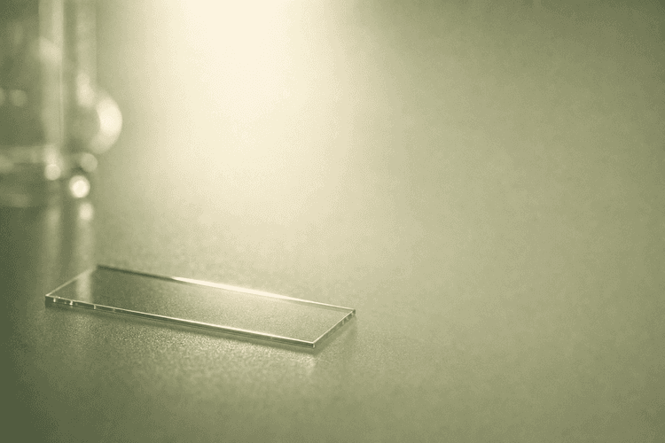 FSH and LH in Male Infertility