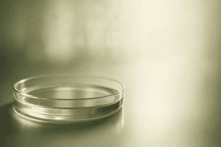 Role of Seminal Plasma in Fertility