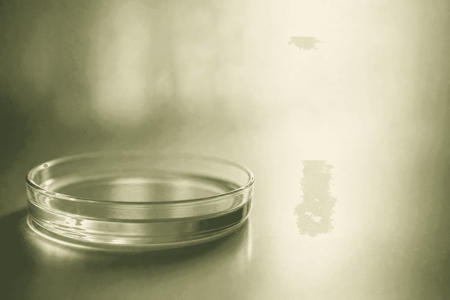 Role of Seminal Plasma in Fertility