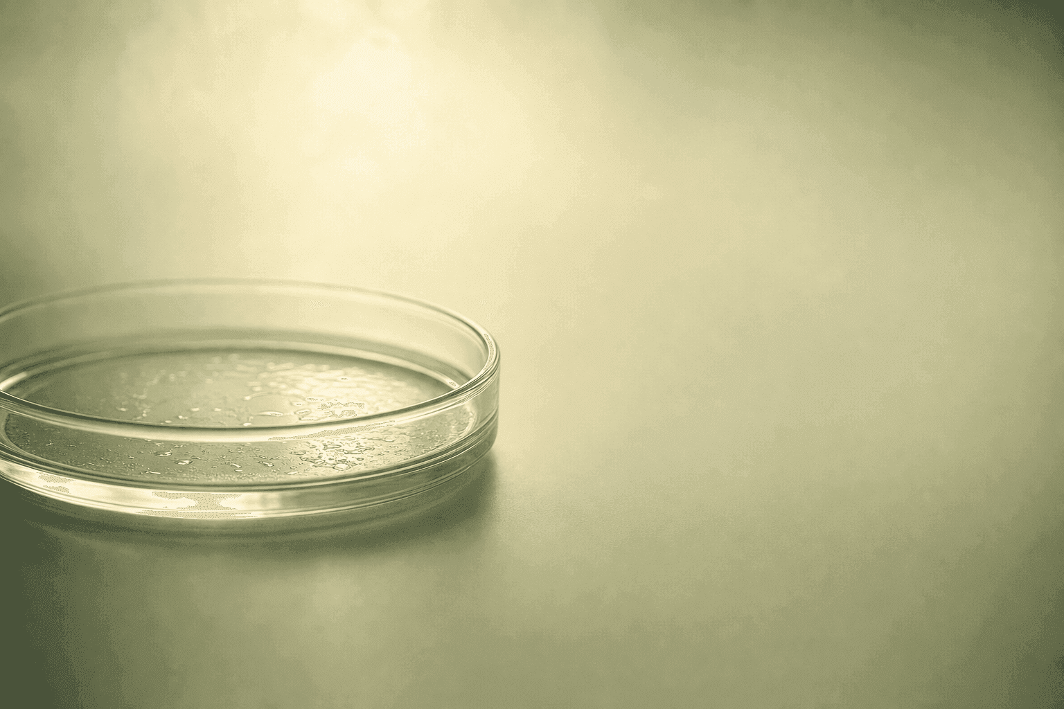 Luteinized Unruptured Follicle Syndrome: When Ovulation Tests Lie