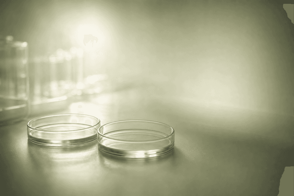 How Common Are Failed IVF Cycles? What’s Next?