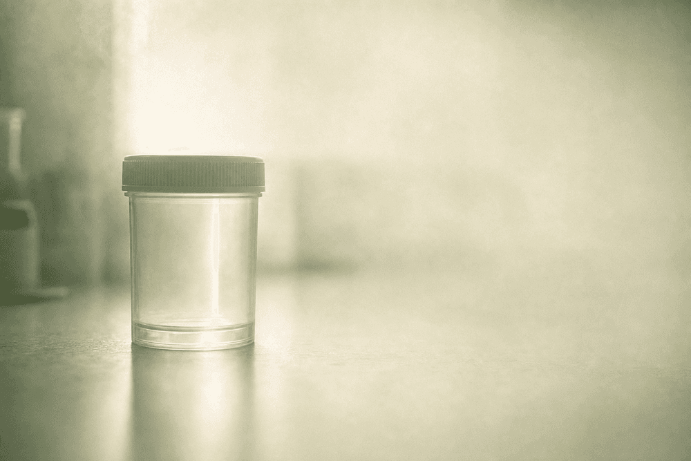 Role of DHA and EPA in Male Reproductive Health