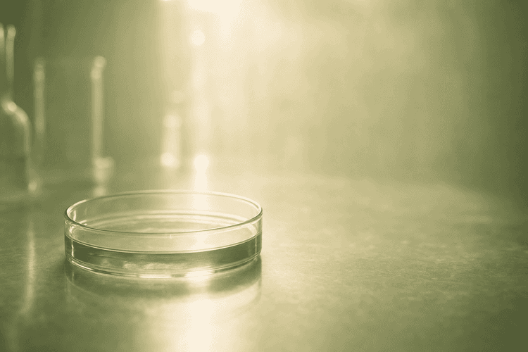Can Erectile Dysfunction Be a Fertility Issue?