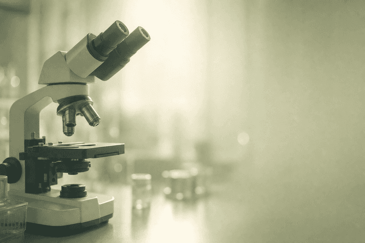 Male Infertility After COVID-19