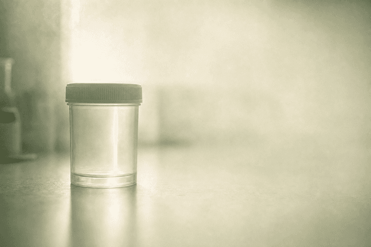 Role of DHA and EPA in Male Reproductive Health