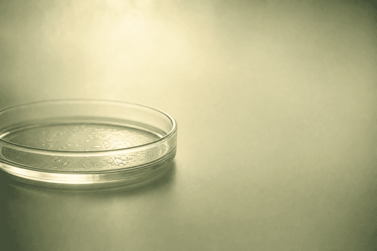 Luteinized Unruptured Follicle Syndrome: When Ovulation Tests Lie
