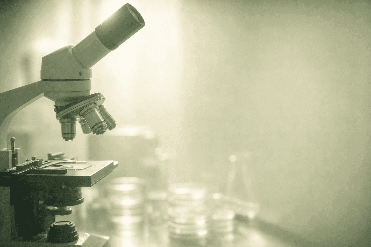 The Role of Testosterone in Male Fertility